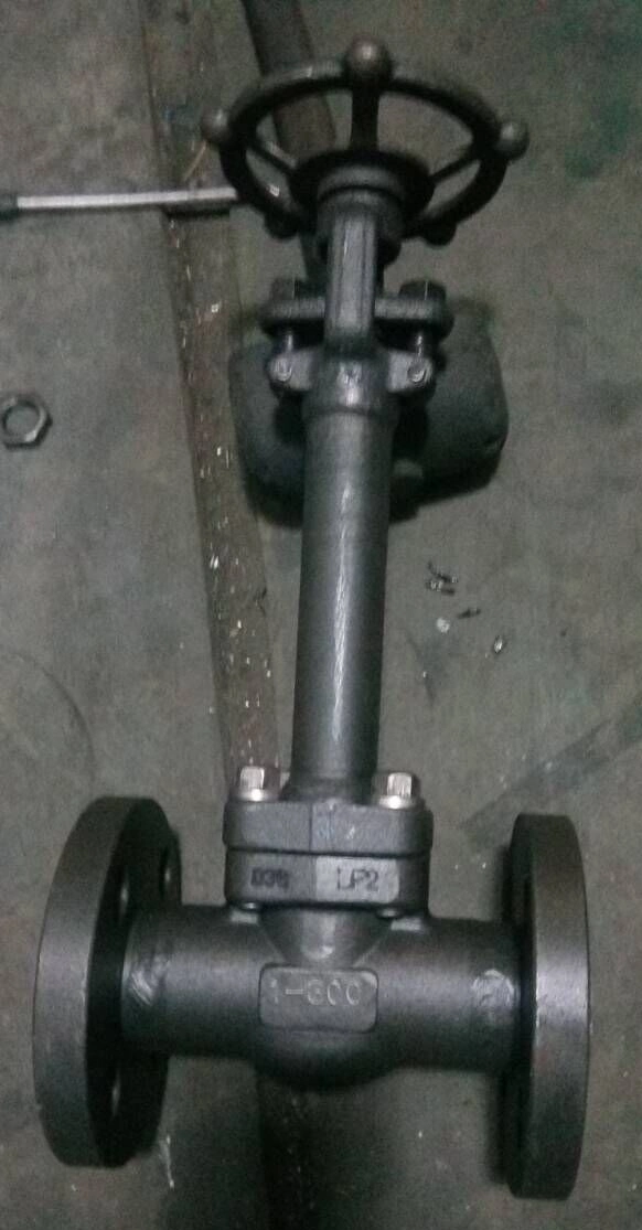 Socket Welded Pressure Seal Compact Steel Globe Valve (GAJ61Y)