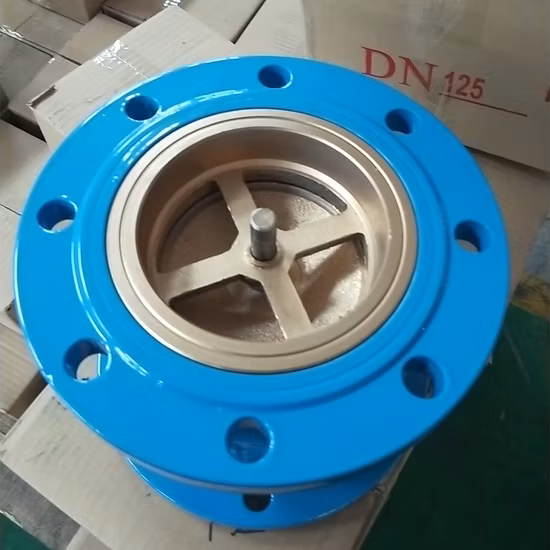 연성 주철 플랜지가 있는 수직 리프트 스프링, 자동 체크 밸브 OEM Pn10/16